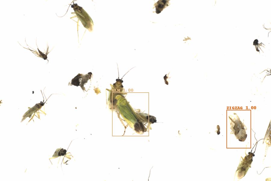 Fullscreen Image