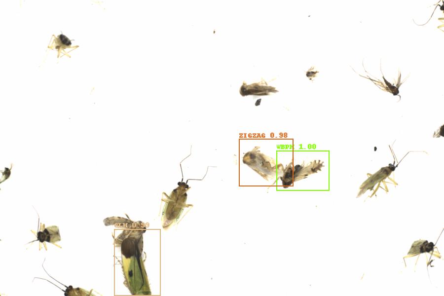 Fullscreen Image