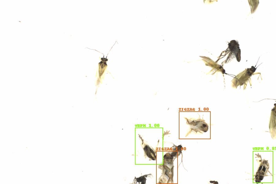 Fullscreen Image