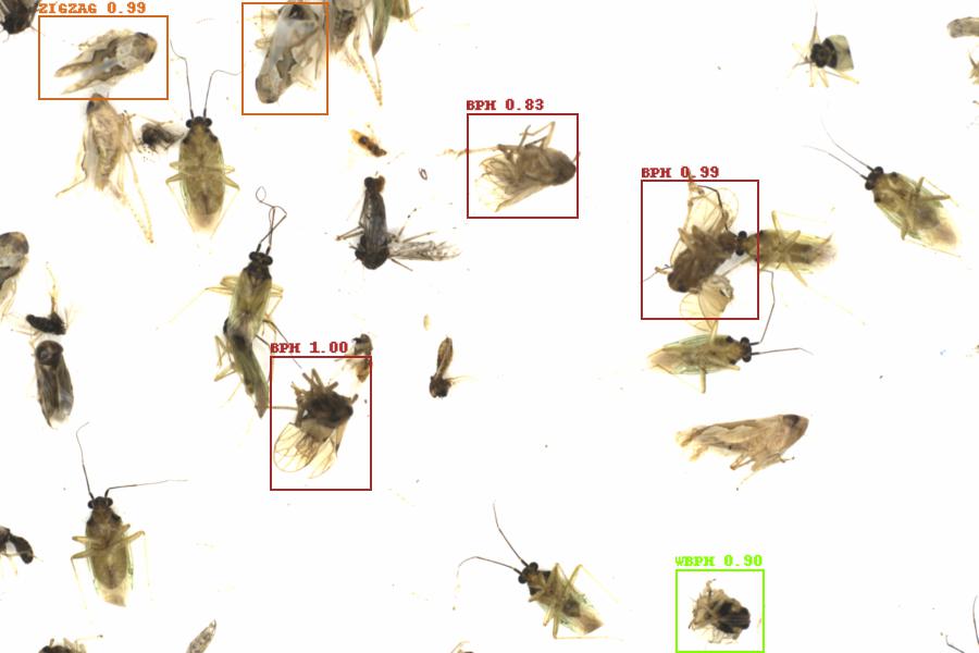 Fullscreen Image