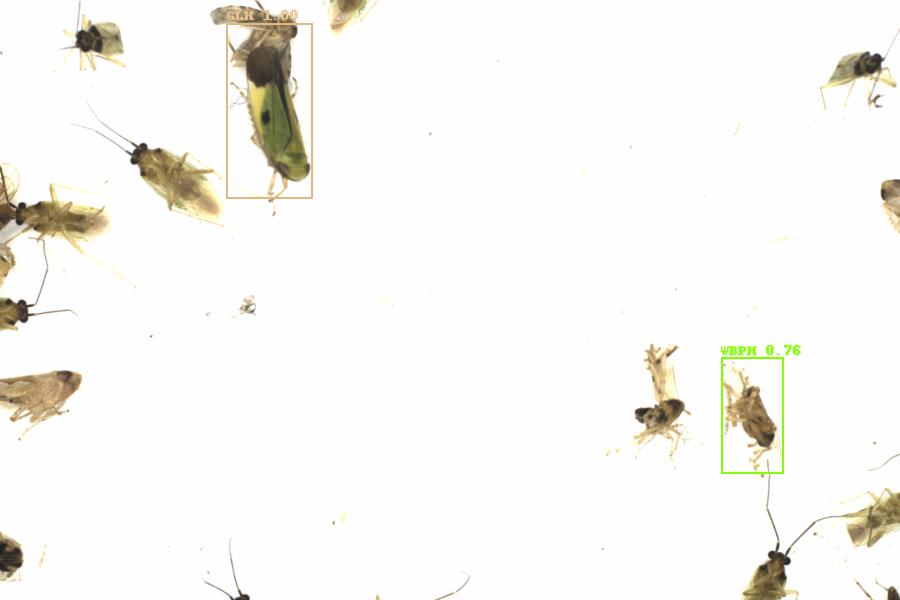 Fullscreen Image