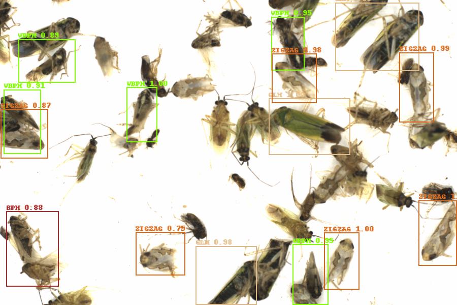 Fullscreen Image