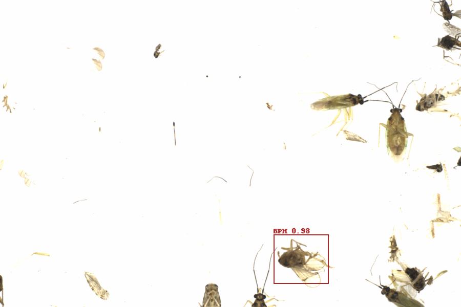 Fullscreen Image