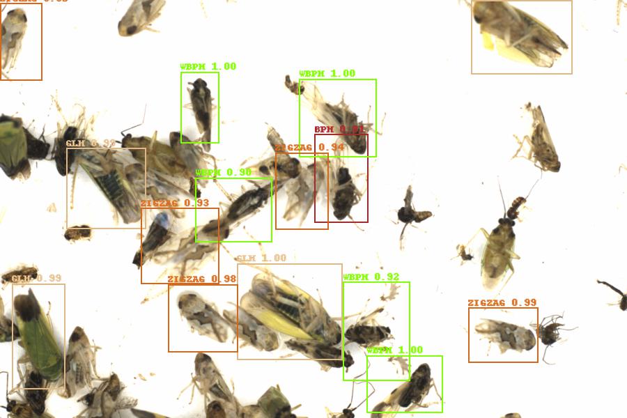 Fullscreen Image