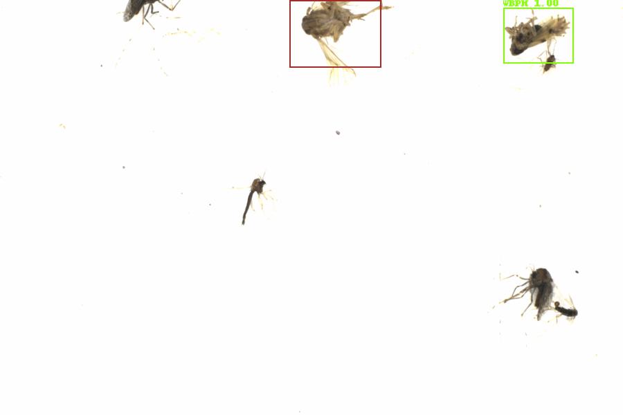 Fullscreen Image
