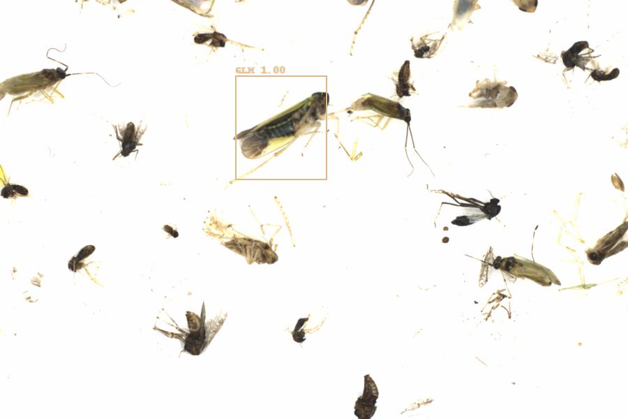 Fullscreen Image