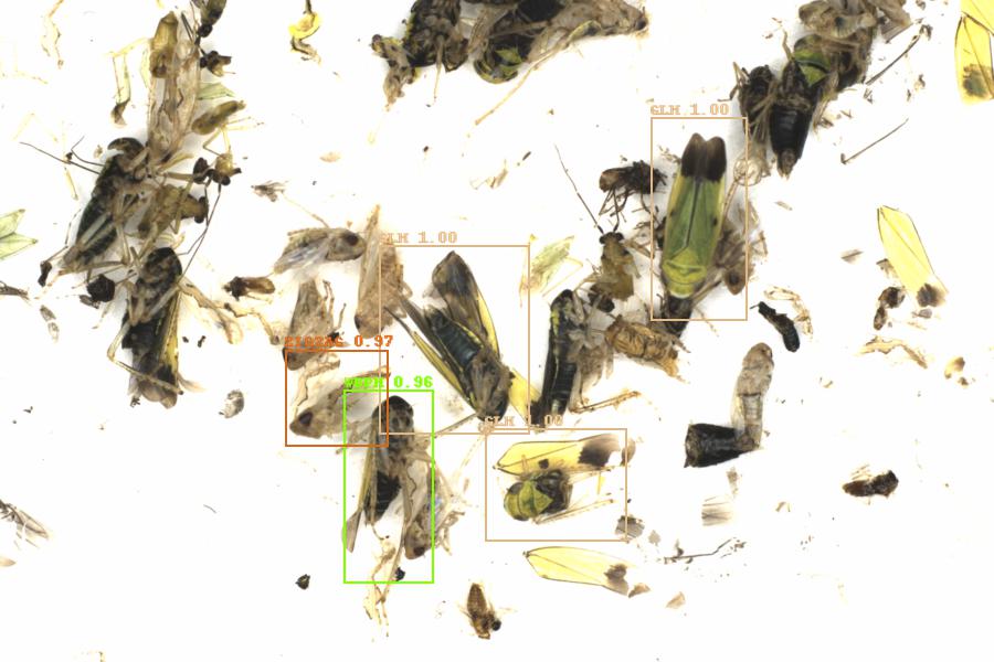 Fullscreen Image