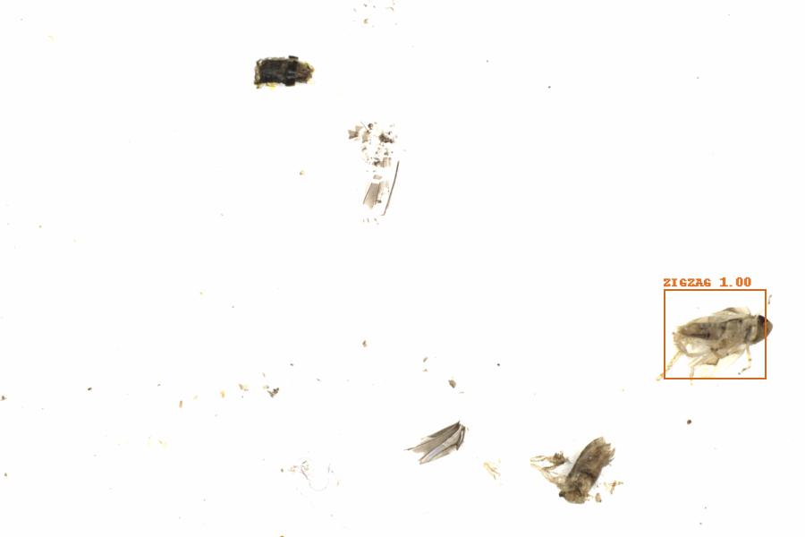 Fullscreen Image