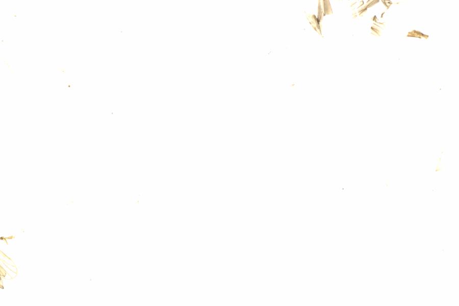 Fullscreen Image