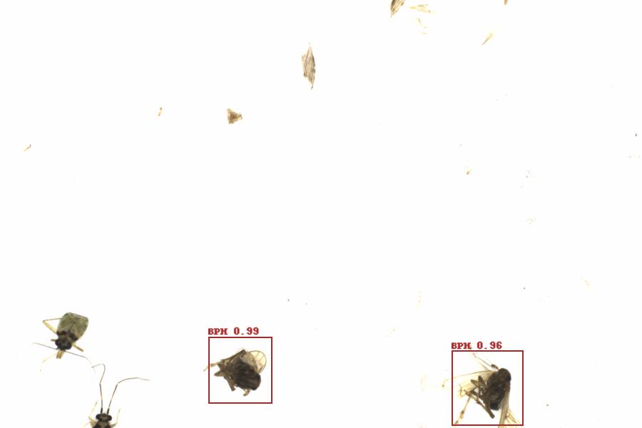 Fullscreen Image