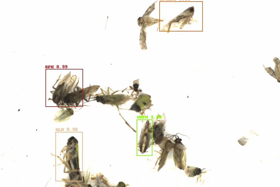 Fullscreen Image