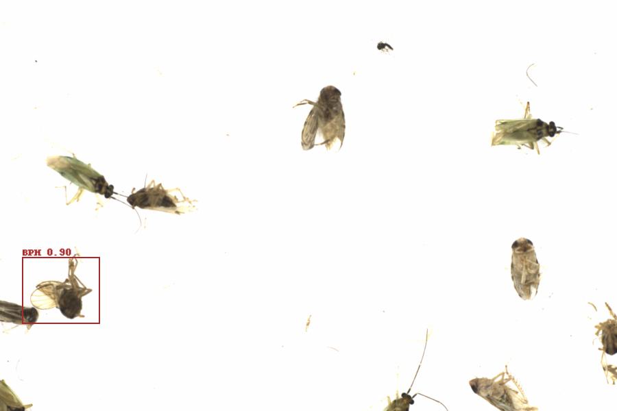 Fullscreen Image