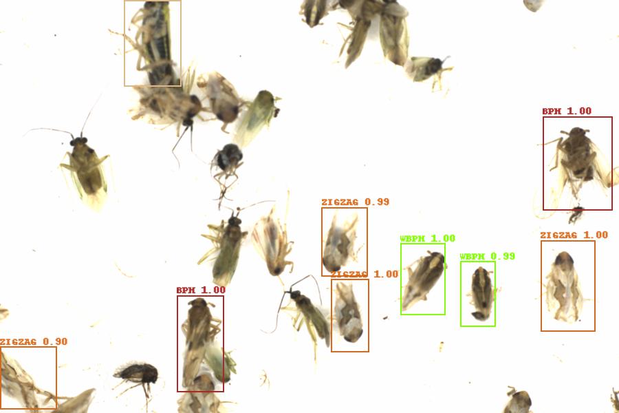 Fullscreen Image