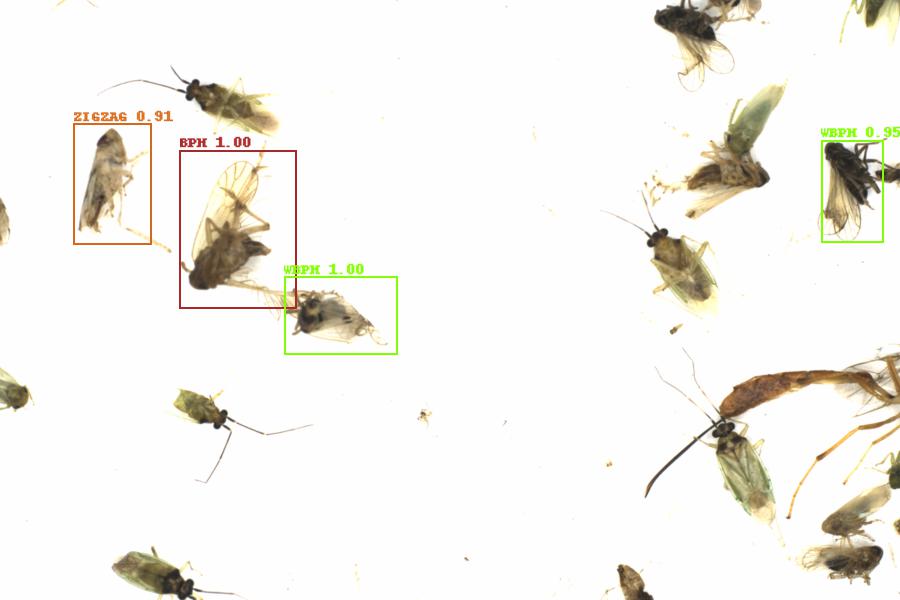 Fullscreen Image