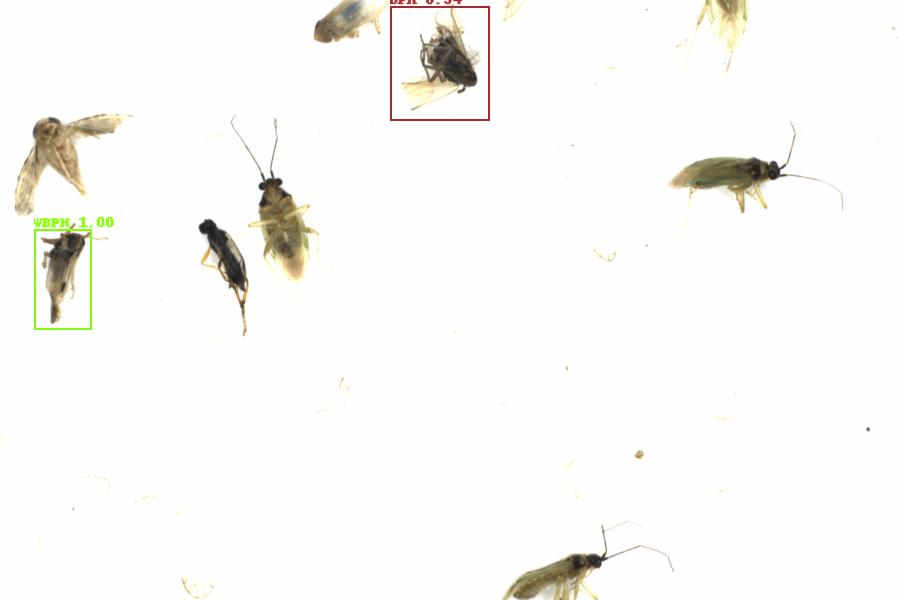 Fullscreen Image