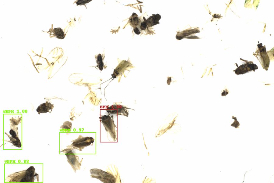 Fullscreen Image