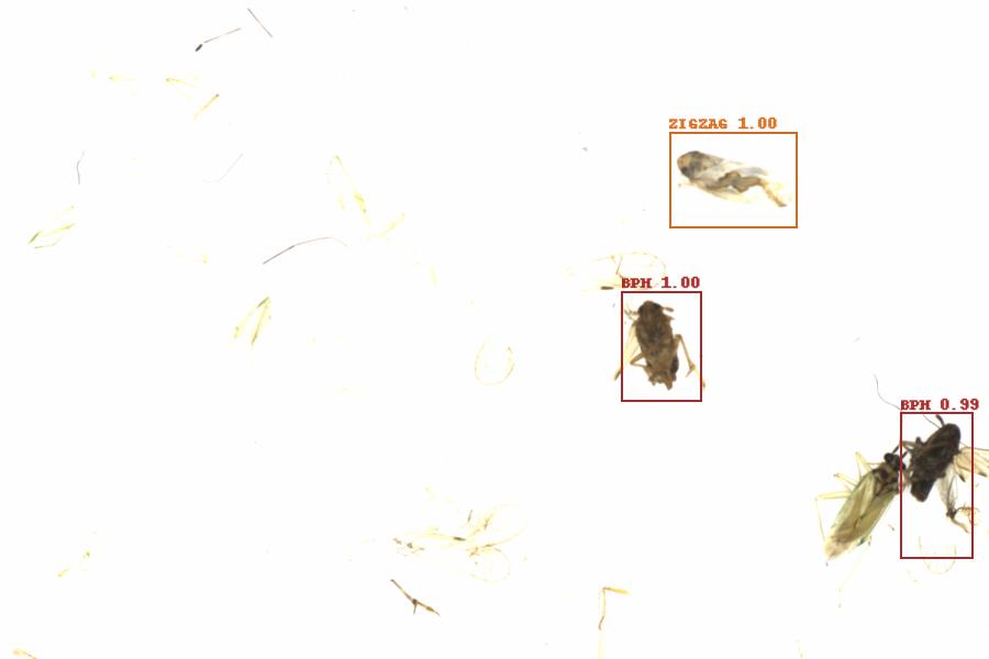 Fullscreen Image