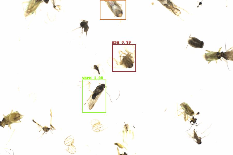 Fullscreen Image