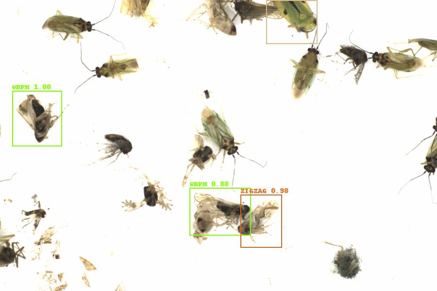 Fullscreen Image