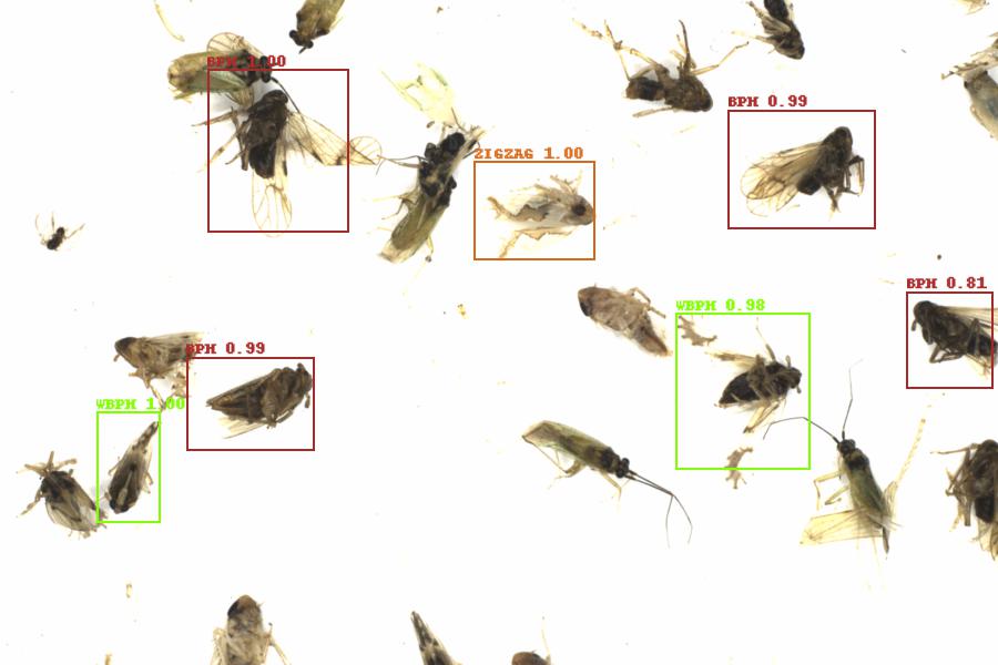 Fullscreen Image