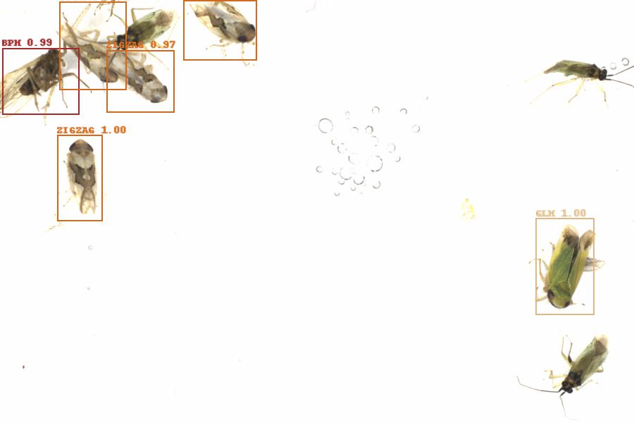 Fullscreen Image