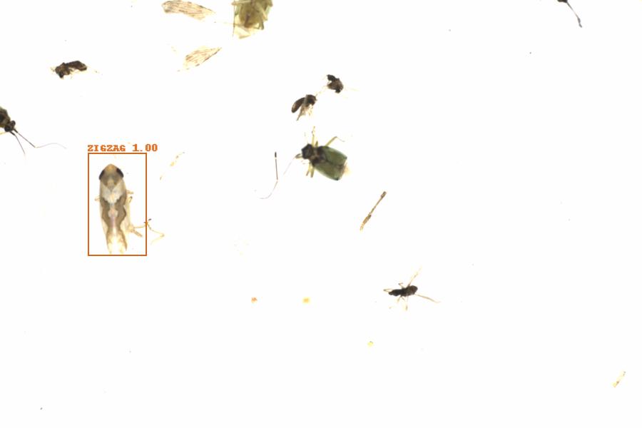 Fullscreen Image