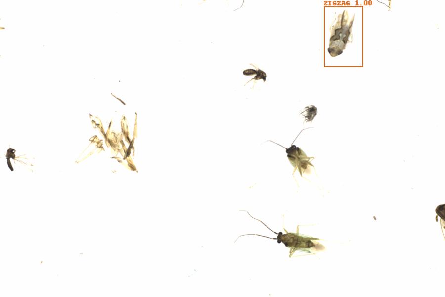 Fullscreen Image