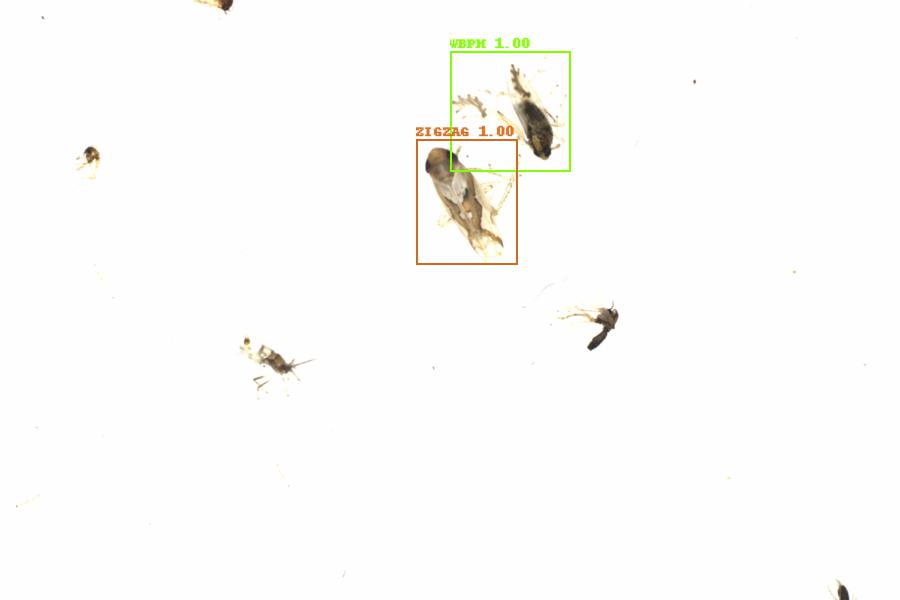Fullscreen Image