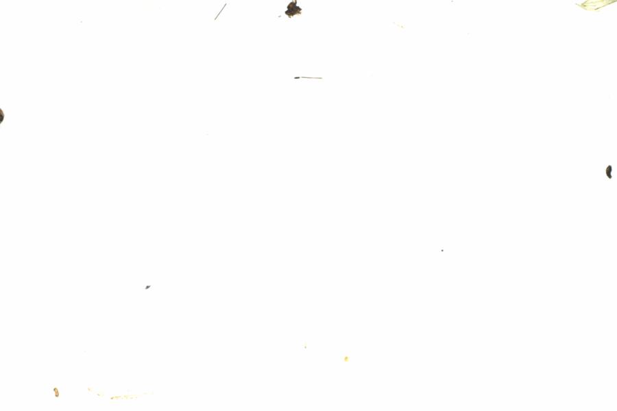 Fullscreen Image