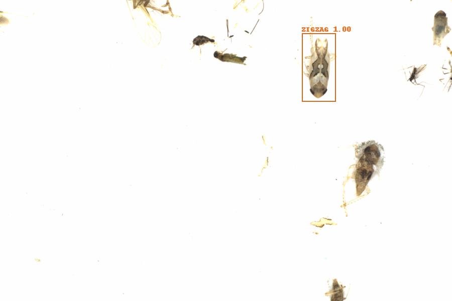 Fullscreen Image