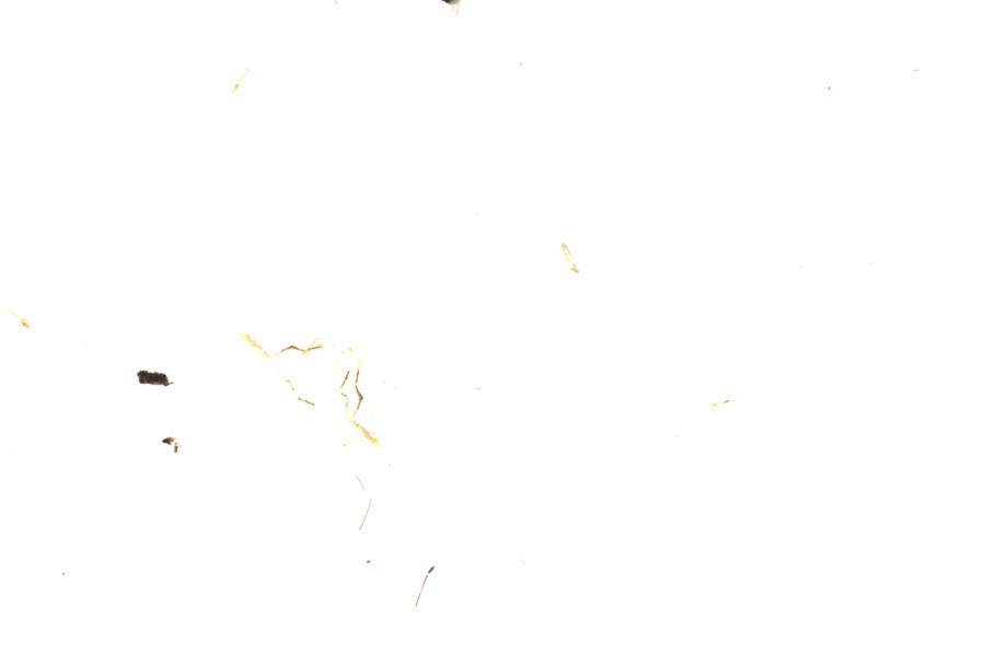 Fullscreen Image