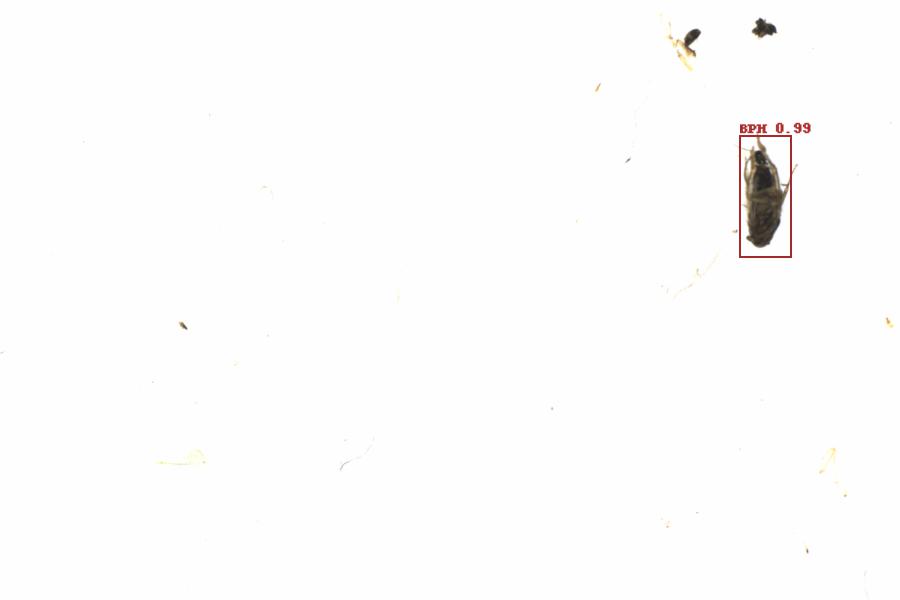 Fullscreen Image