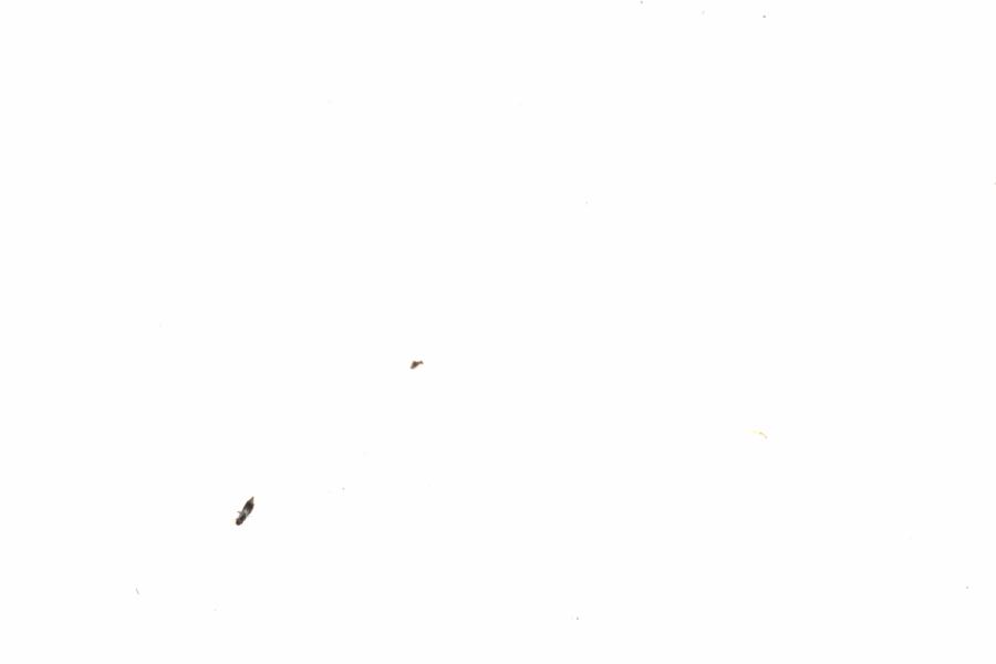 Fullscreen Image
