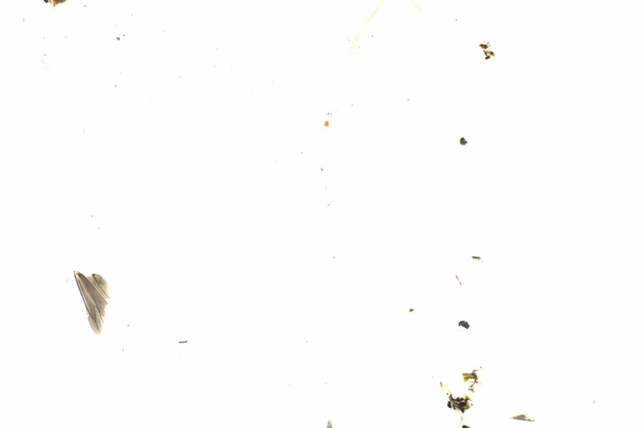 Fullscreen Image
