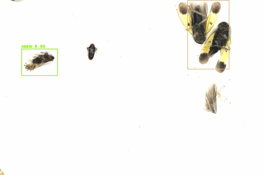 Fullscreen Image