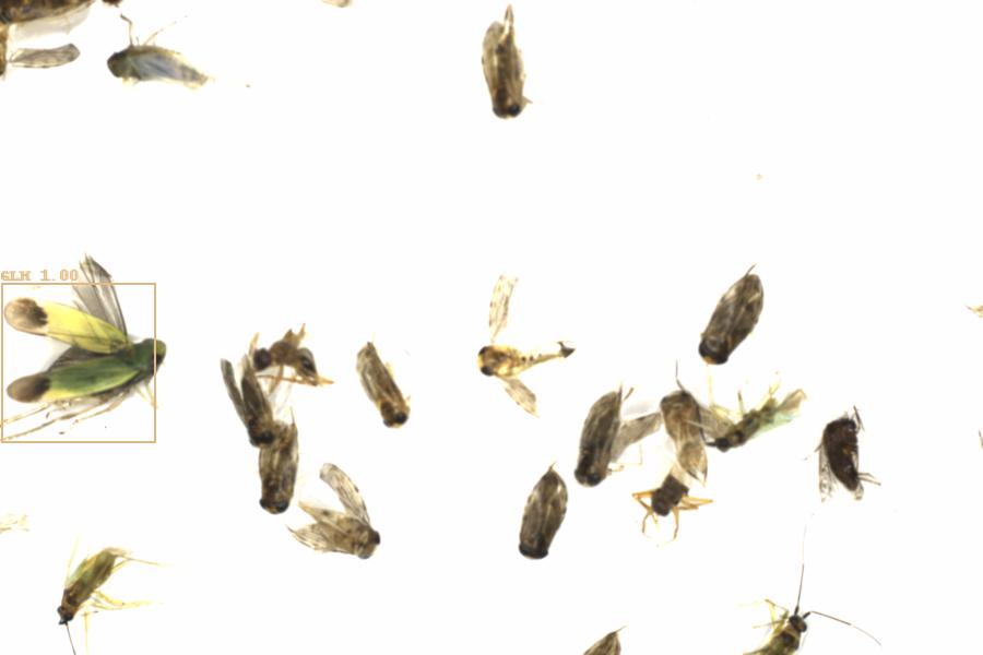 Fullscreen Image
