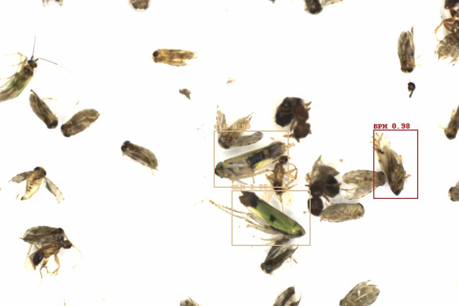 Fullscreen Image