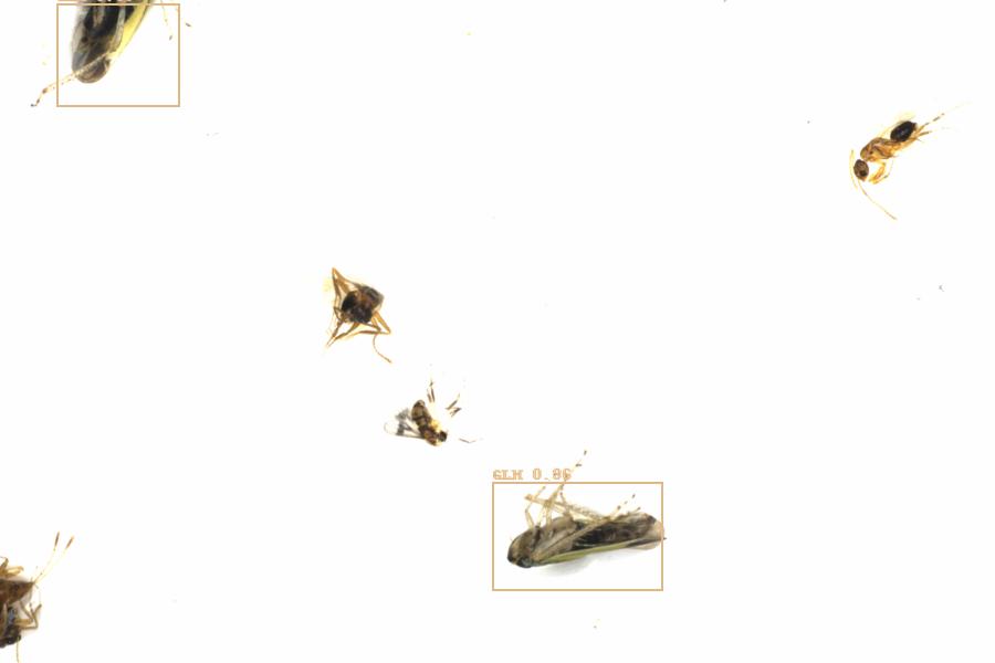 Fullscreen Image