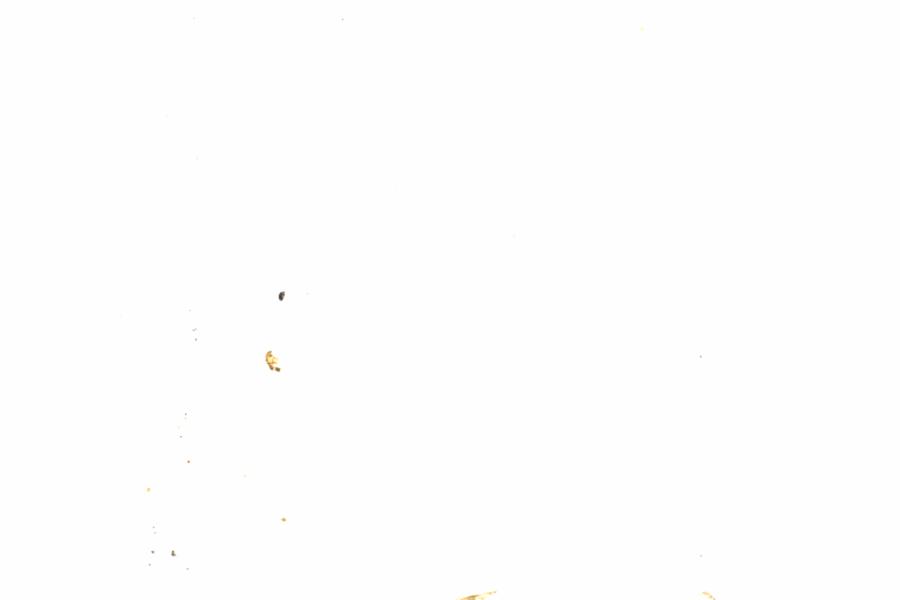 Fullscreen Image