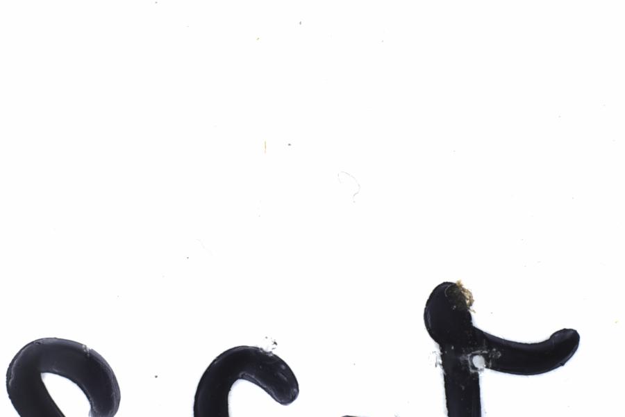 Fullscreen Image