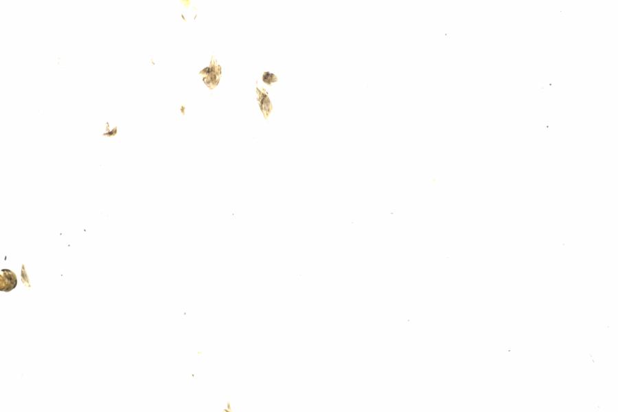 Fullscreen Image