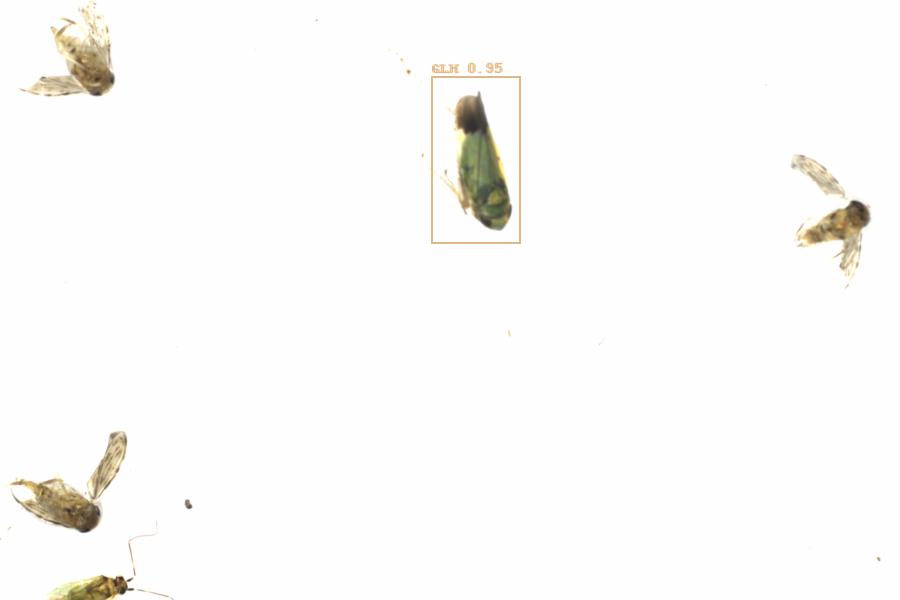 Fullscreen Image