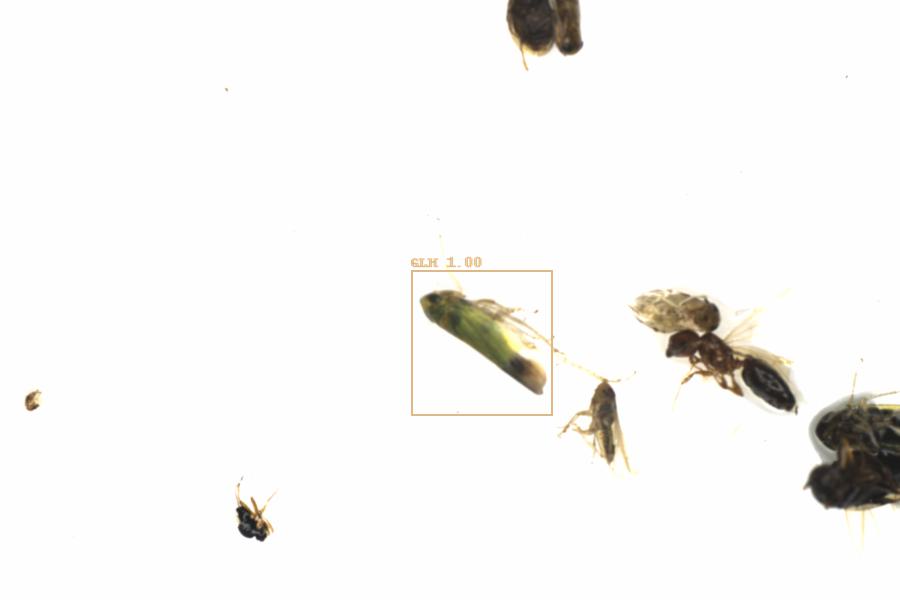 Fullscreen Image