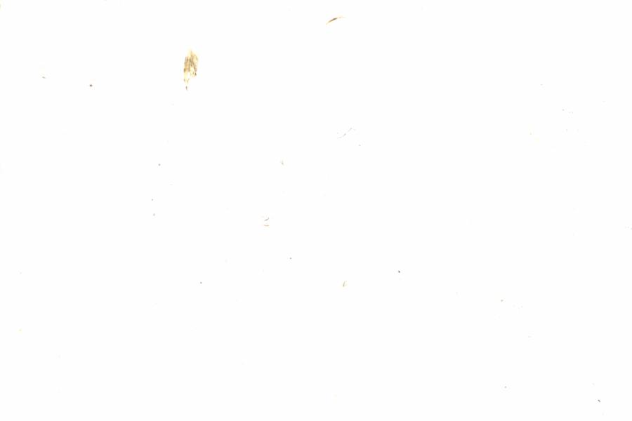 Fullscreen Image