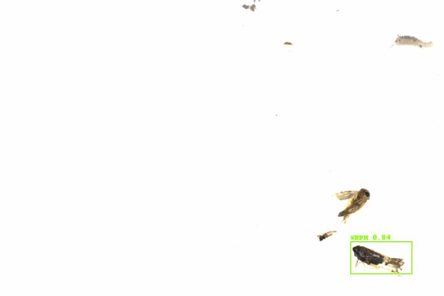 Fullscreen Image