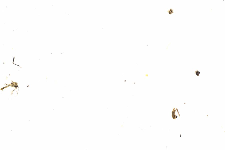 Fullscreen Image