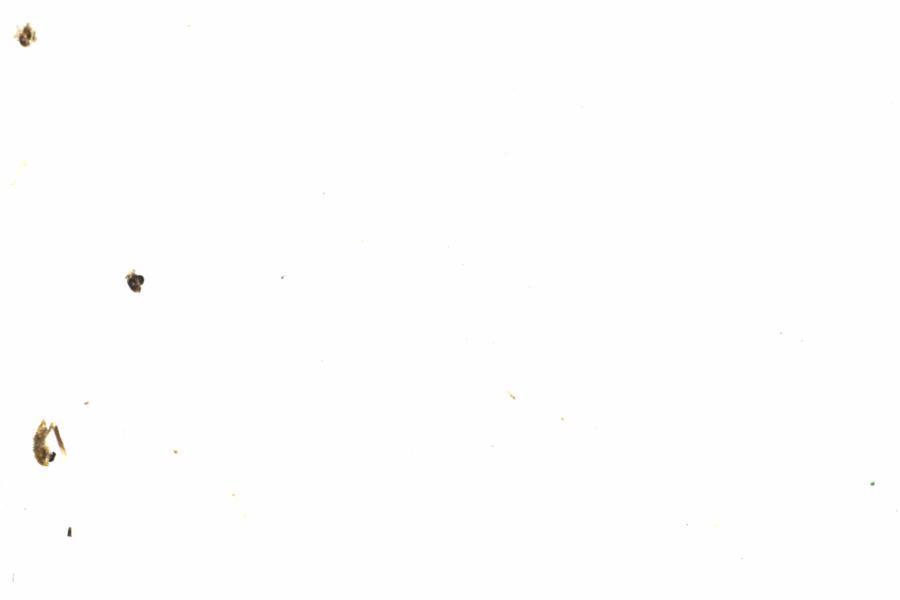 Fullscreen Image