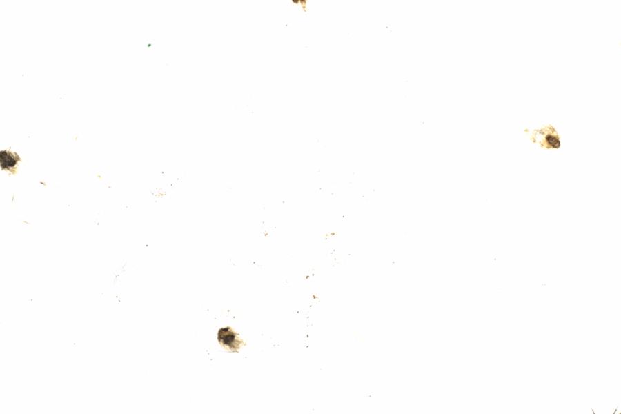 Fullscreen Image