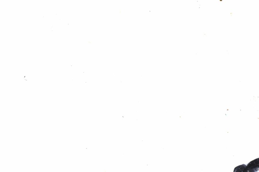 Fullscreen Image