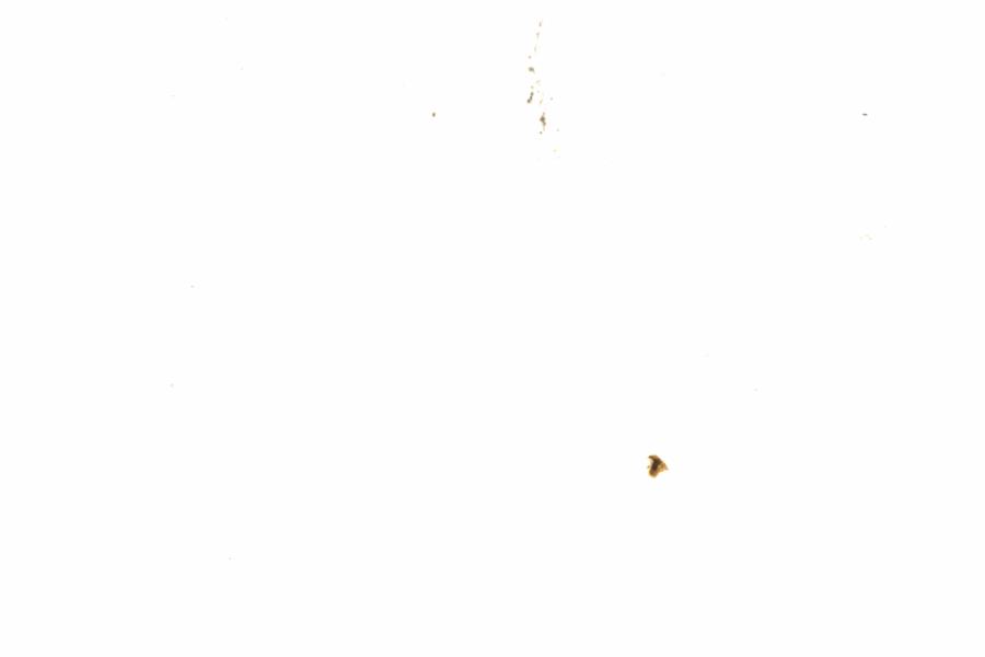 Fullscreen Image